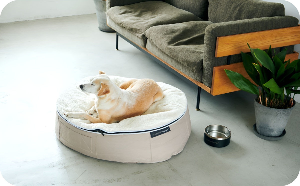 Мягкая бескаркасная мебель ambient lounge®