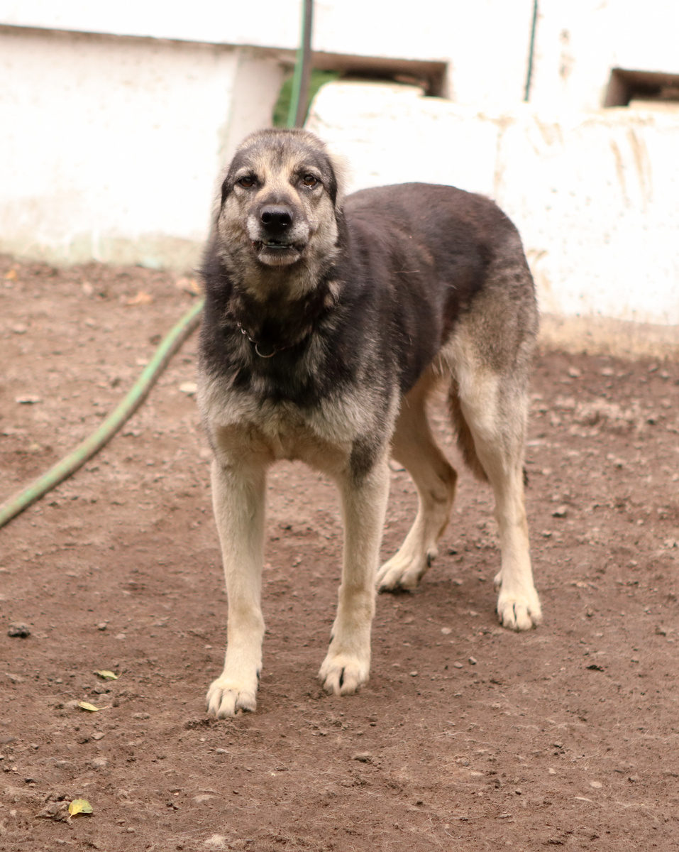 Я если честно просила обо мне не рассказывать