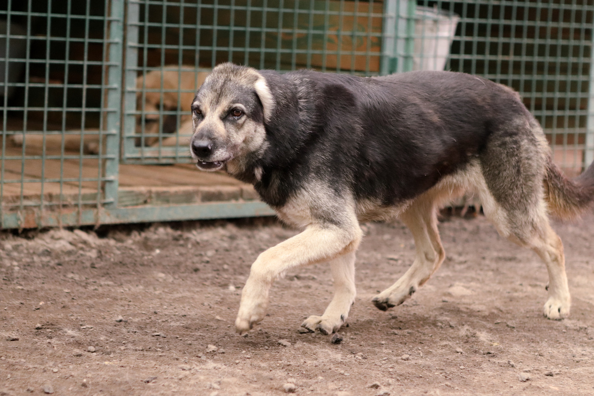 Что я не вижу разве косые взгляды людей?