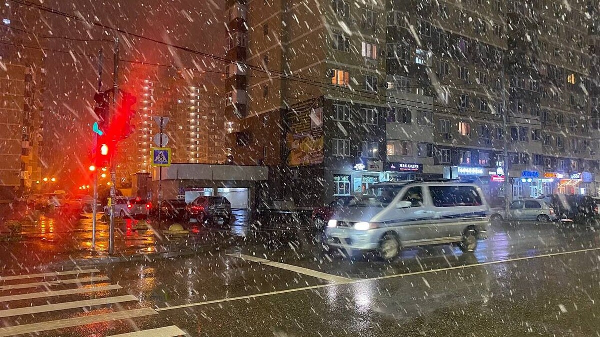    Фото: телеканал «Краснодар»