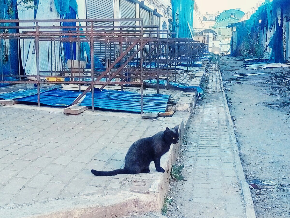 Фото автора