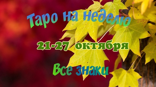 Таро-прогноз на неделю с 21-27 октября🌟 Тайм-код в описании🦢