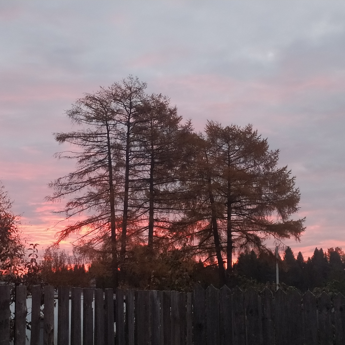 Рассвет. Фото из личного архива