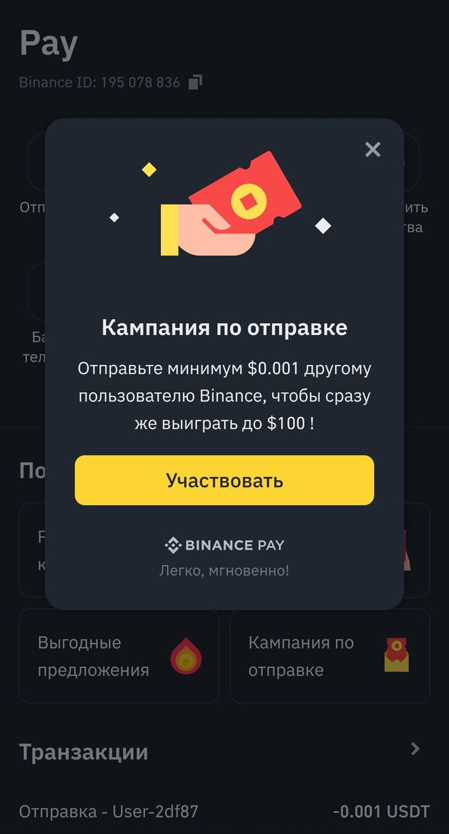 Компания по отправке через Binance Pay 