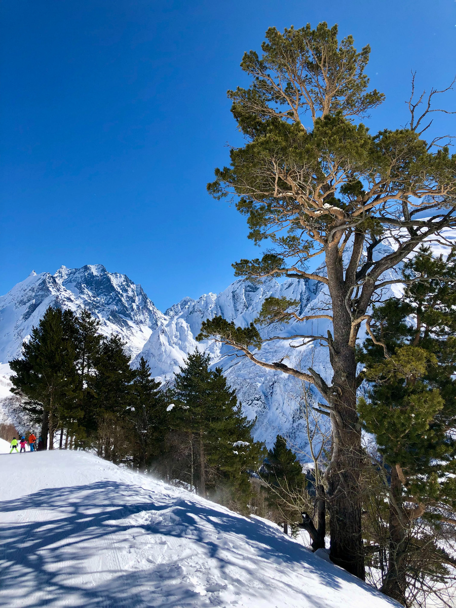 Курорт Домбай