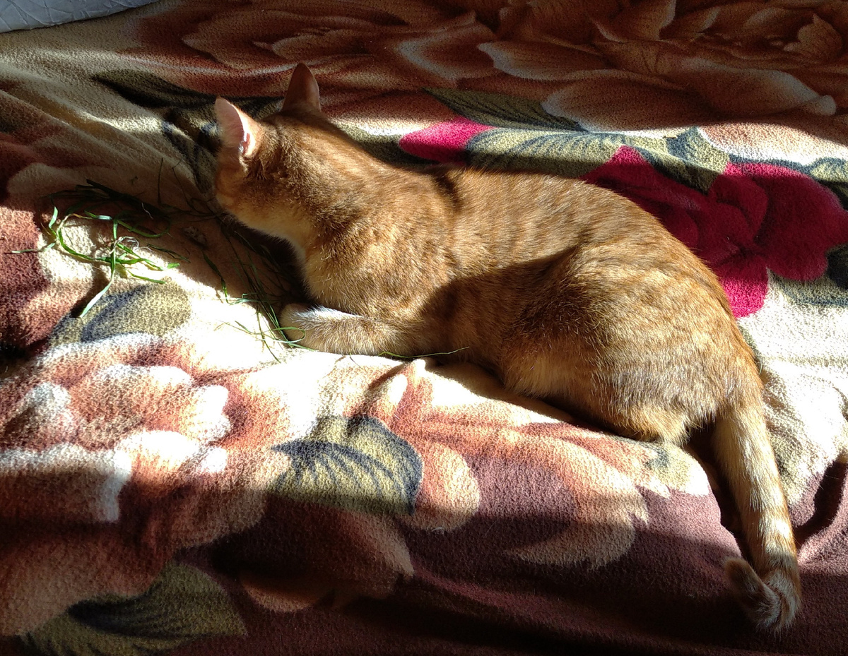 Личное фото.