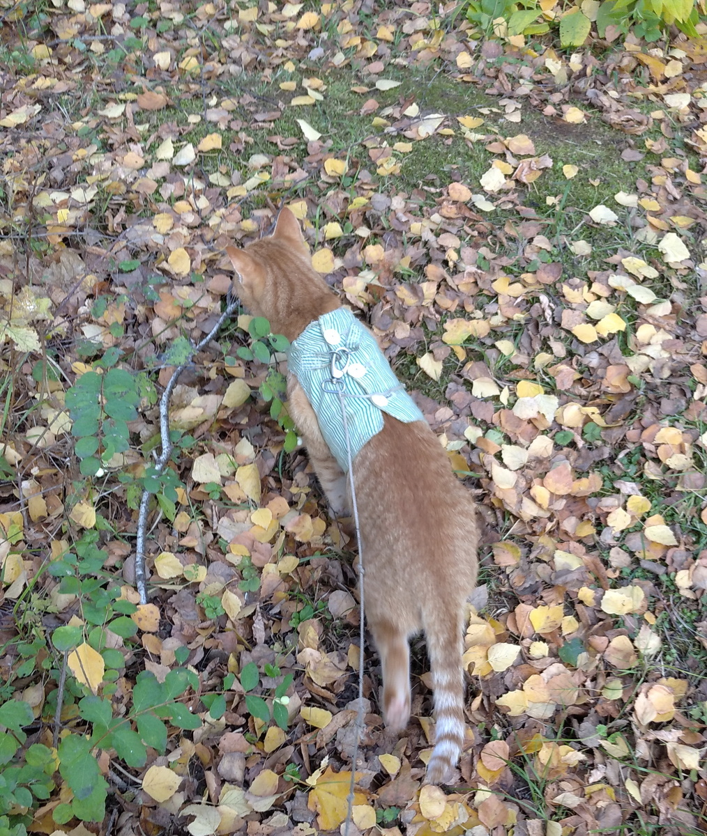 Личное фото.