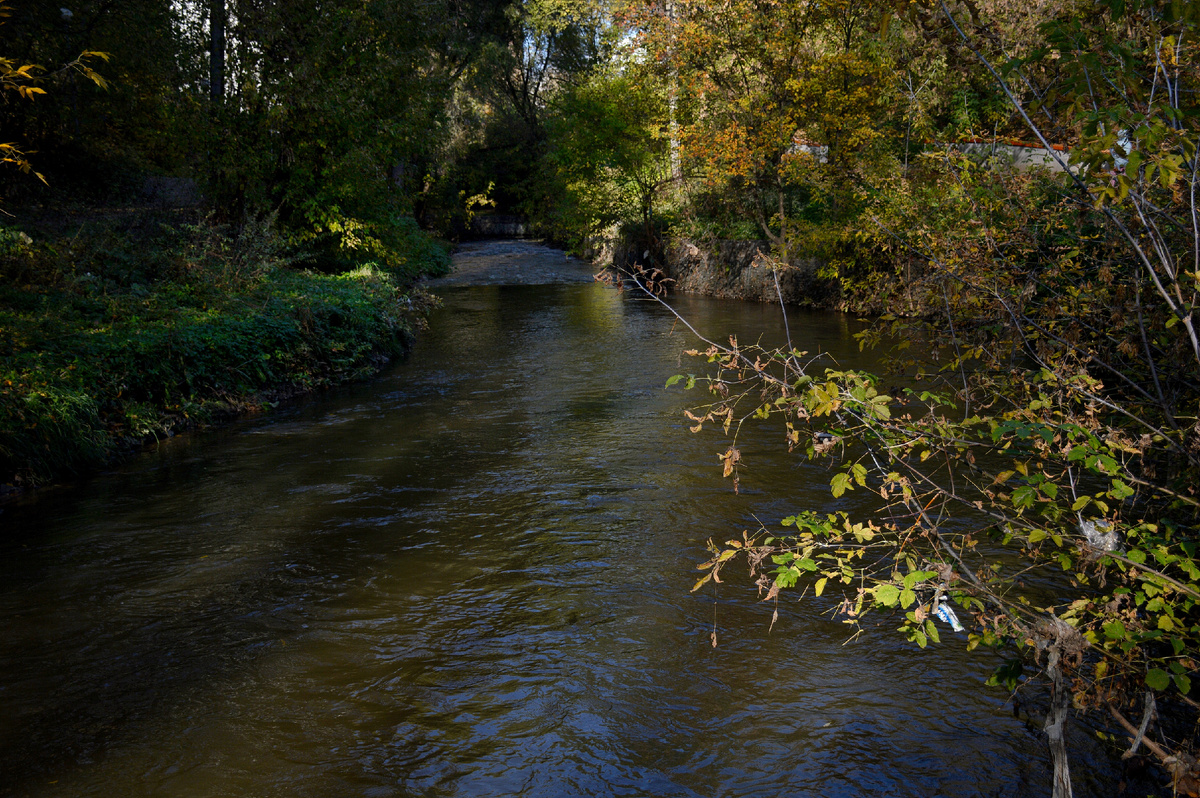 19 октября 2024. Речка Лихоборка