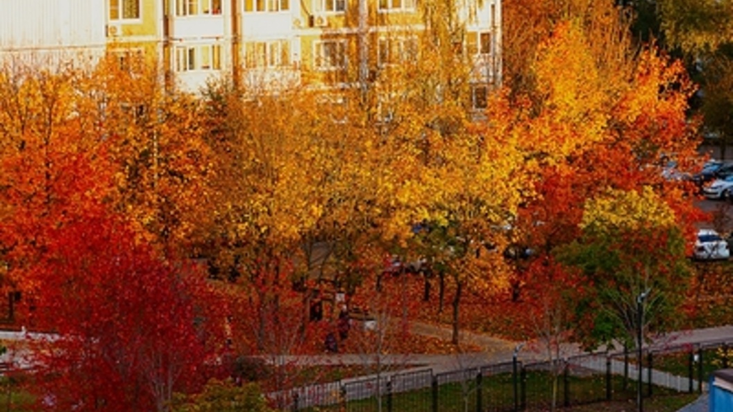    Фото: Roman Denisov/Globallookpress.