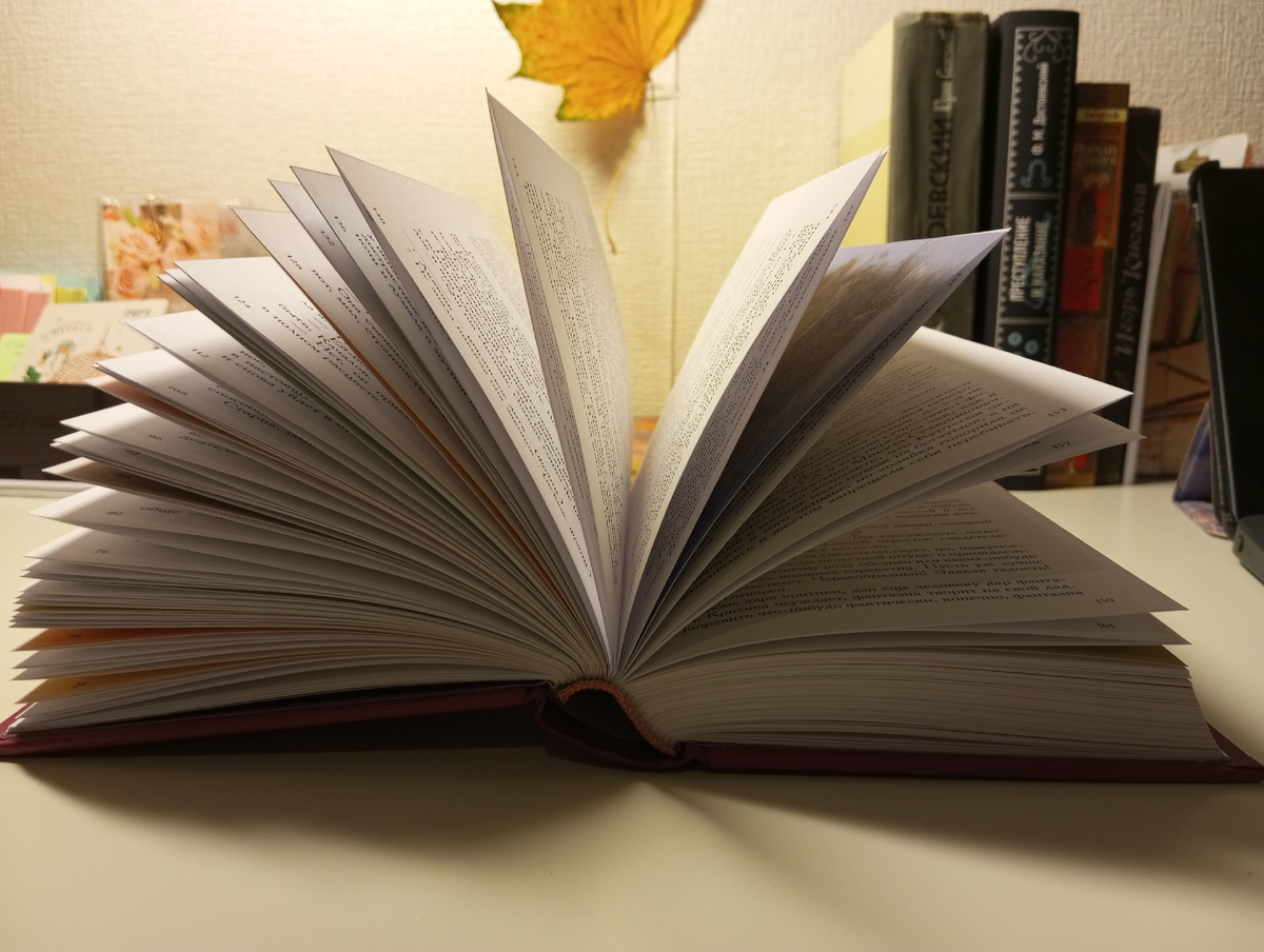 Тэффи. Идеальная жена