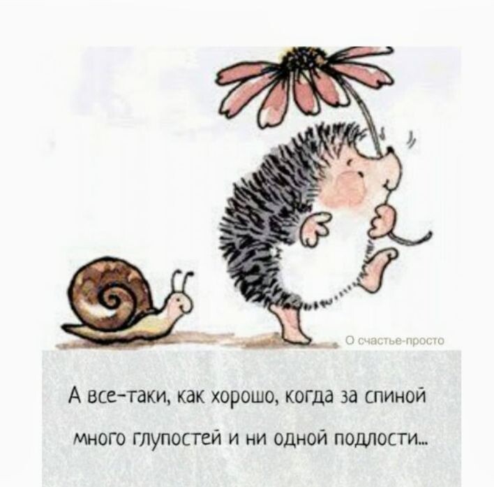 Из Яндекс картинки 