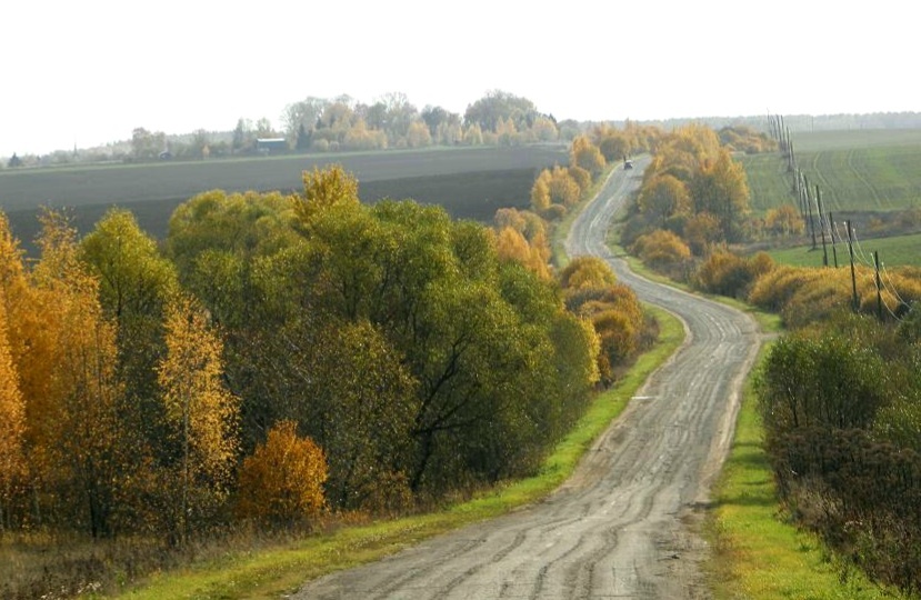 Деревенские просторы: шагай да шагай.