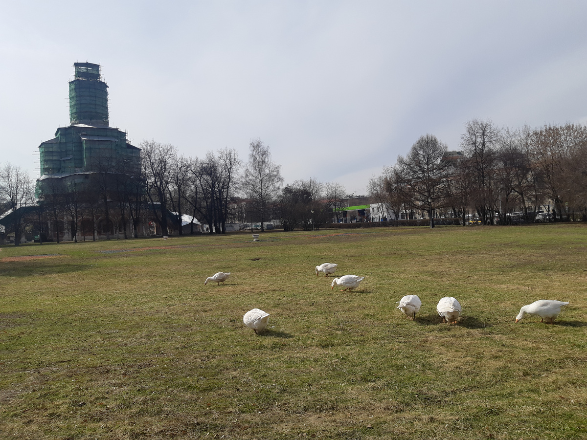 Эта фотография сделана автором 2 года назад, при подготовке выставки про Фили