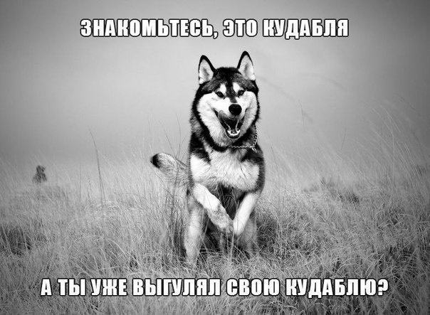 Думаю, ситуация всем понятна. / Картинка из коллекции, происхождение за давностью неизвестно.