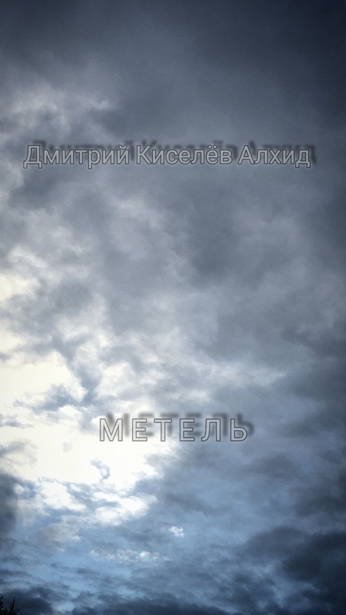 Рассказ о том, как разошлись в непогоду дороги двух старых друзей, отправившихся на санях по делам в город.