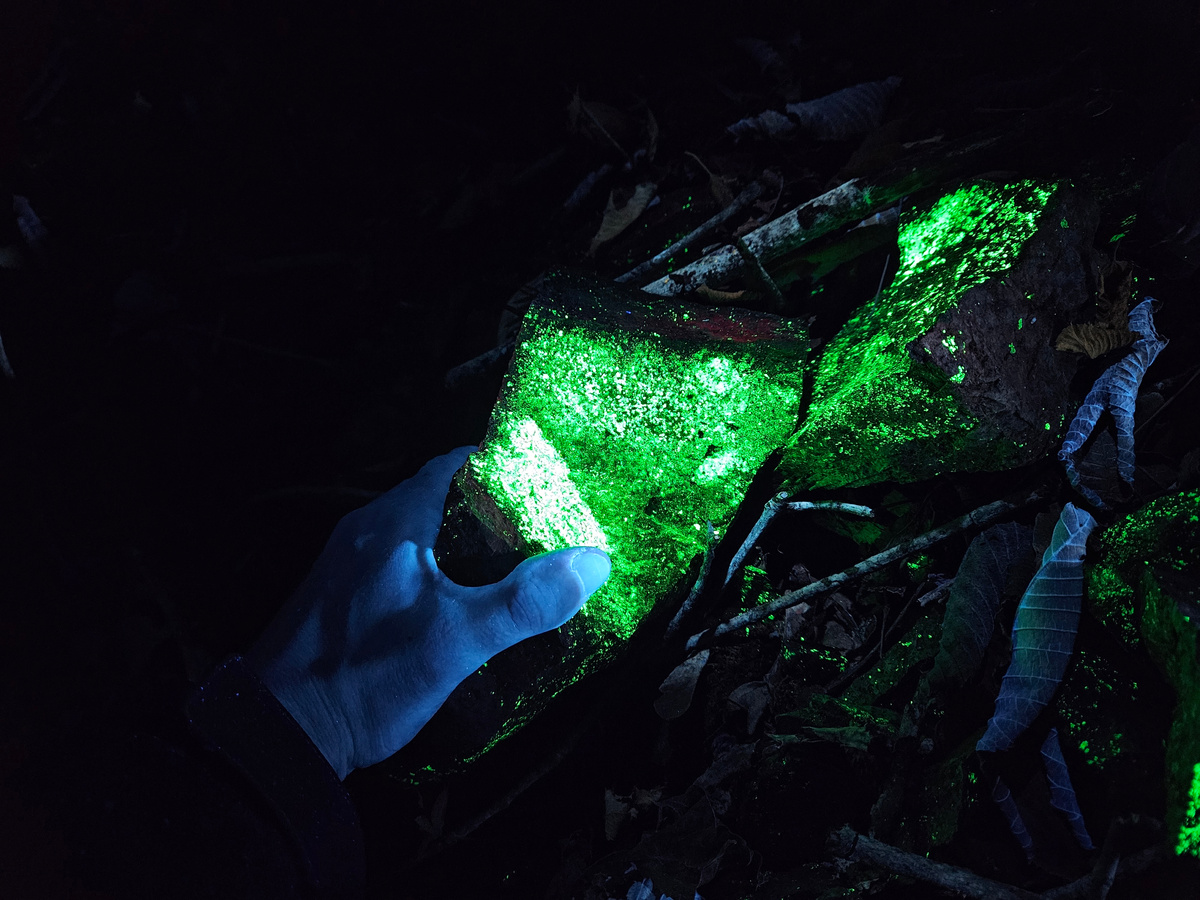 Люминесценция уранового минерала метаотенит. Гора Бештау