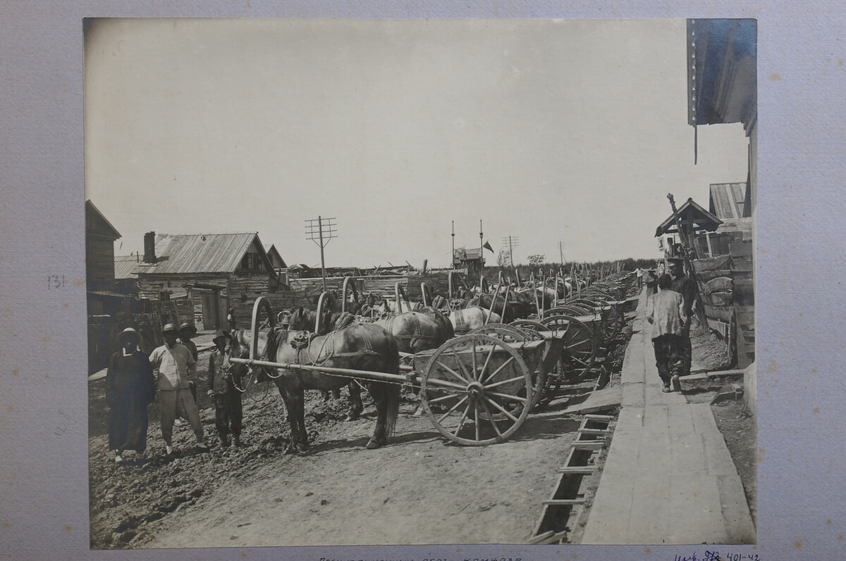    Ассенизационный обоз комхоза