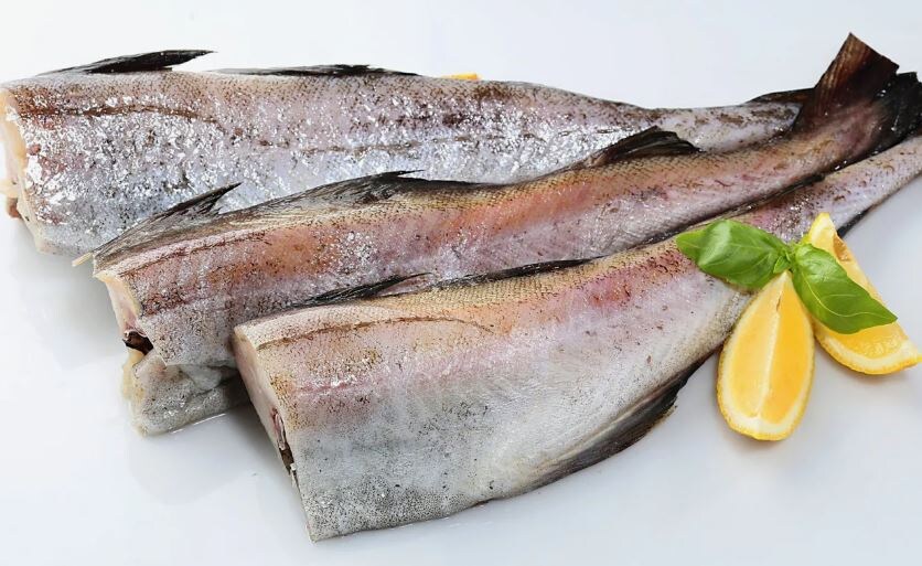 Минтай (иллюстрация из открытых источников)