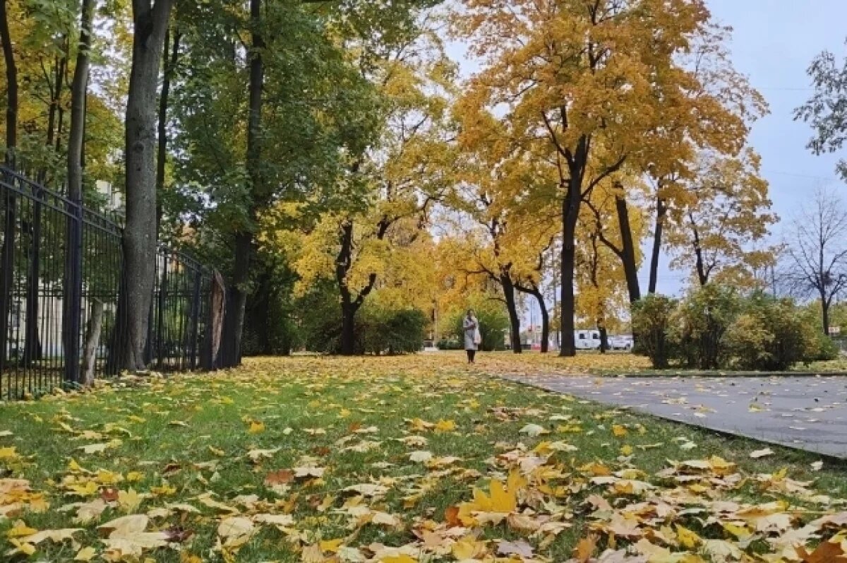    Солнечно и холодно: какая погода будет в Хабаровском крае 20 октября