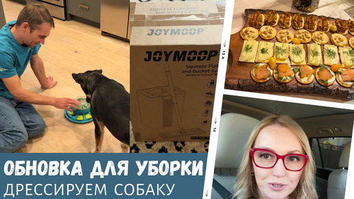 Обновка для уборки / Дрессируем собаку / Наши планы / Влог США