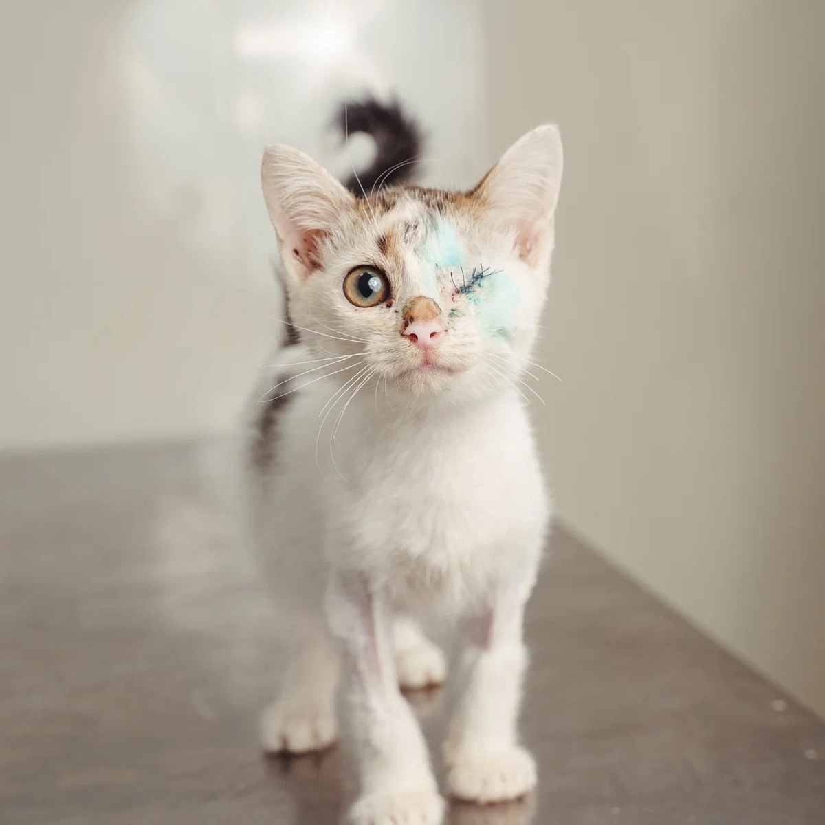  Ну никак не выжить старинкам и инvалидам на улице!