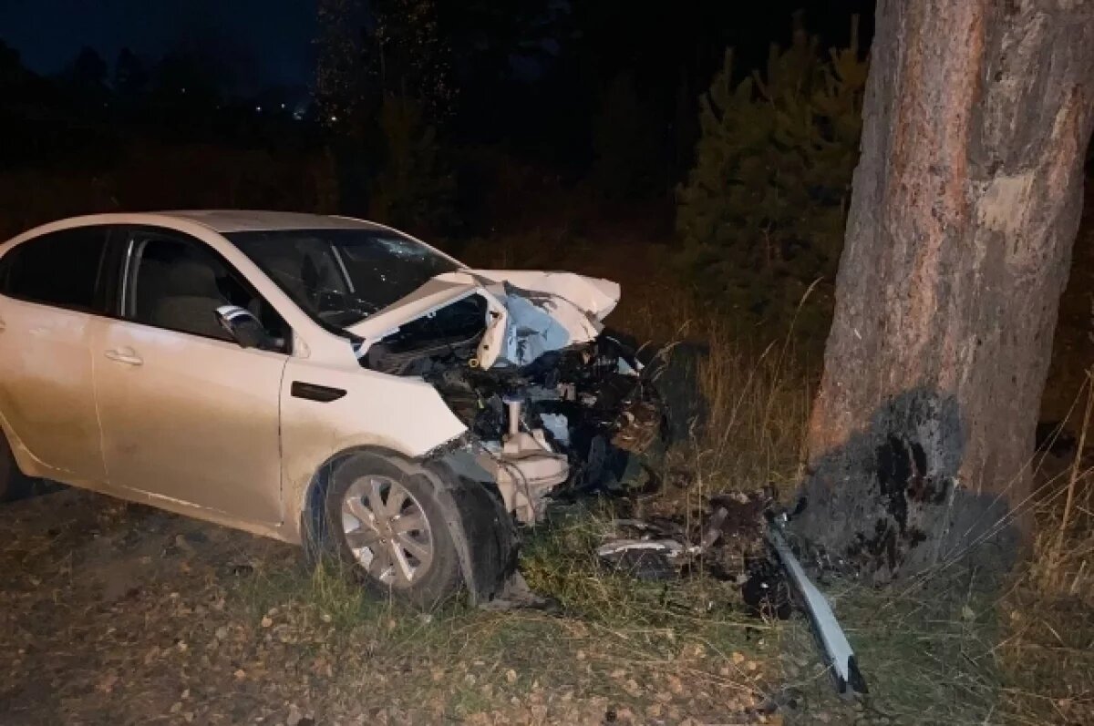    В Томской области водитель Kia врезалась в дерево и погибла