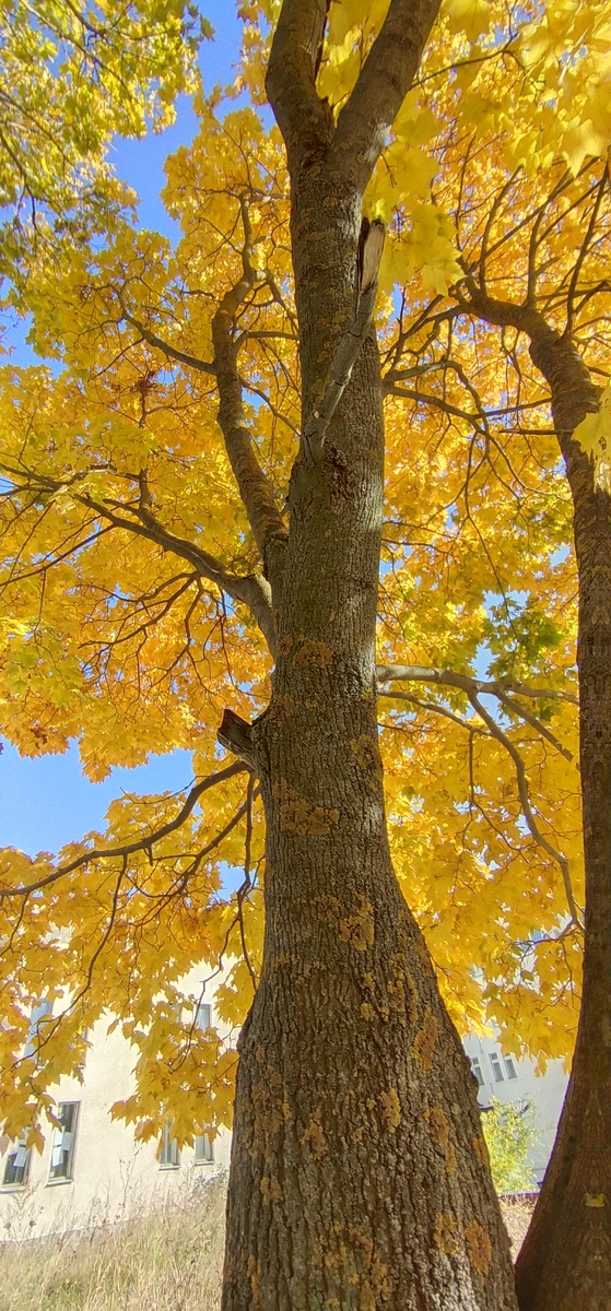 Личное фото