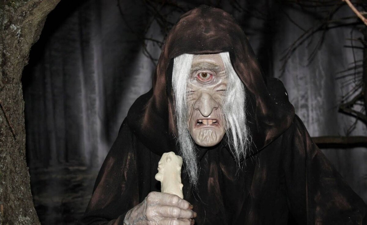 картинка из интернета