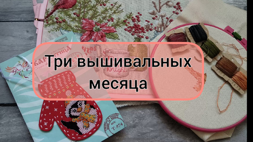 Три вышивальных месяца: Совиный лес, Риолис, Жар-птица, Дименшенс