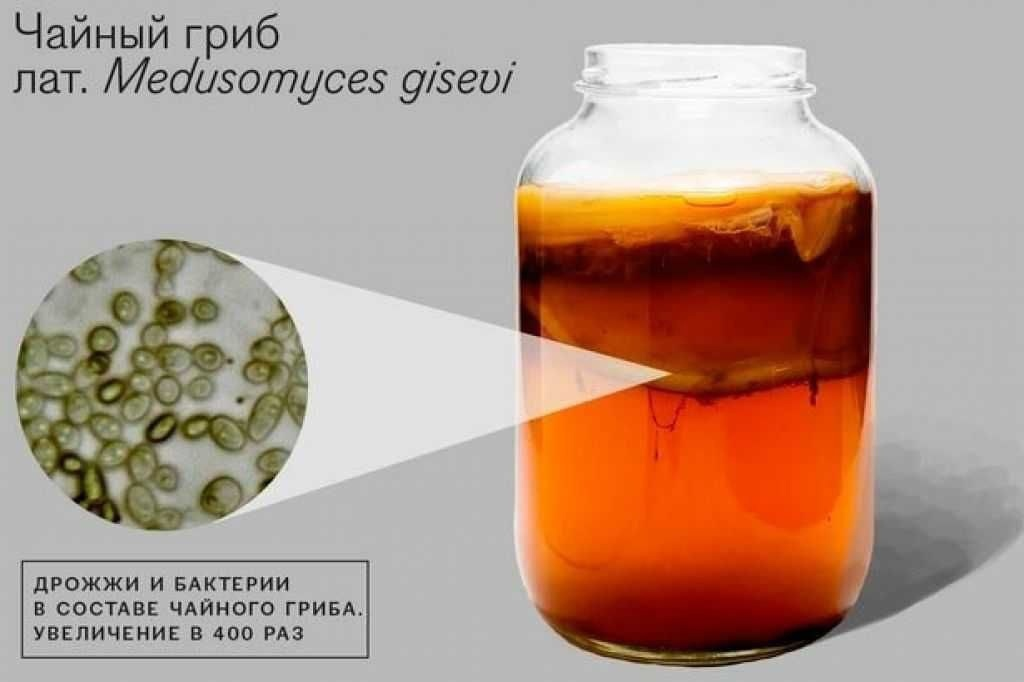Детальное рассмотрение сегодняшнего гостя. 