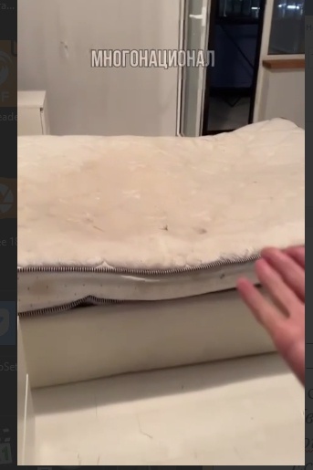 Скрин видео с канала "Многонационал" 