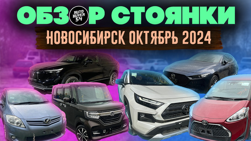 Обзор стоянки Новосибирск Октябрь 2024 / VEZEL, SIENTA, N-BOX, RAV4, MAZDA3, AURIS.