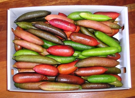 Разноцветье-то какое! 