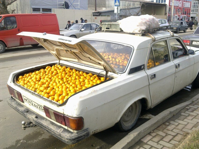 фото из открытых источников