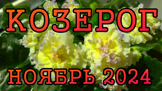 КОЗЕРОГ таро прогноз на НОЯБРЬ 2024 года.