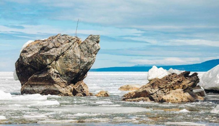 Источник новости: https://nia.eco/2024/10/14/91765/