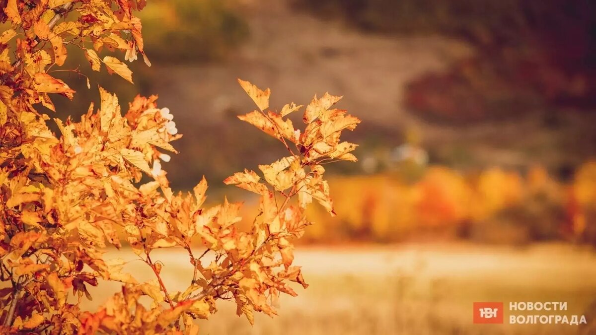     Источник: 1MI