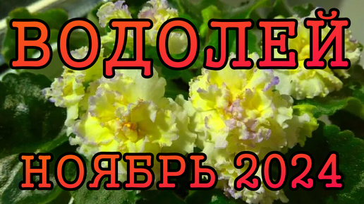 ВОДОЛЕЙ таро прогноз на НОЯБРЬ 2024 года.