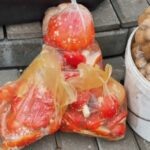    Мухоморы на рынке в Гомеле Сергей Белевич
