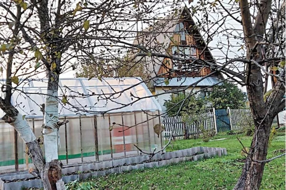    Не оставить ни крошки.