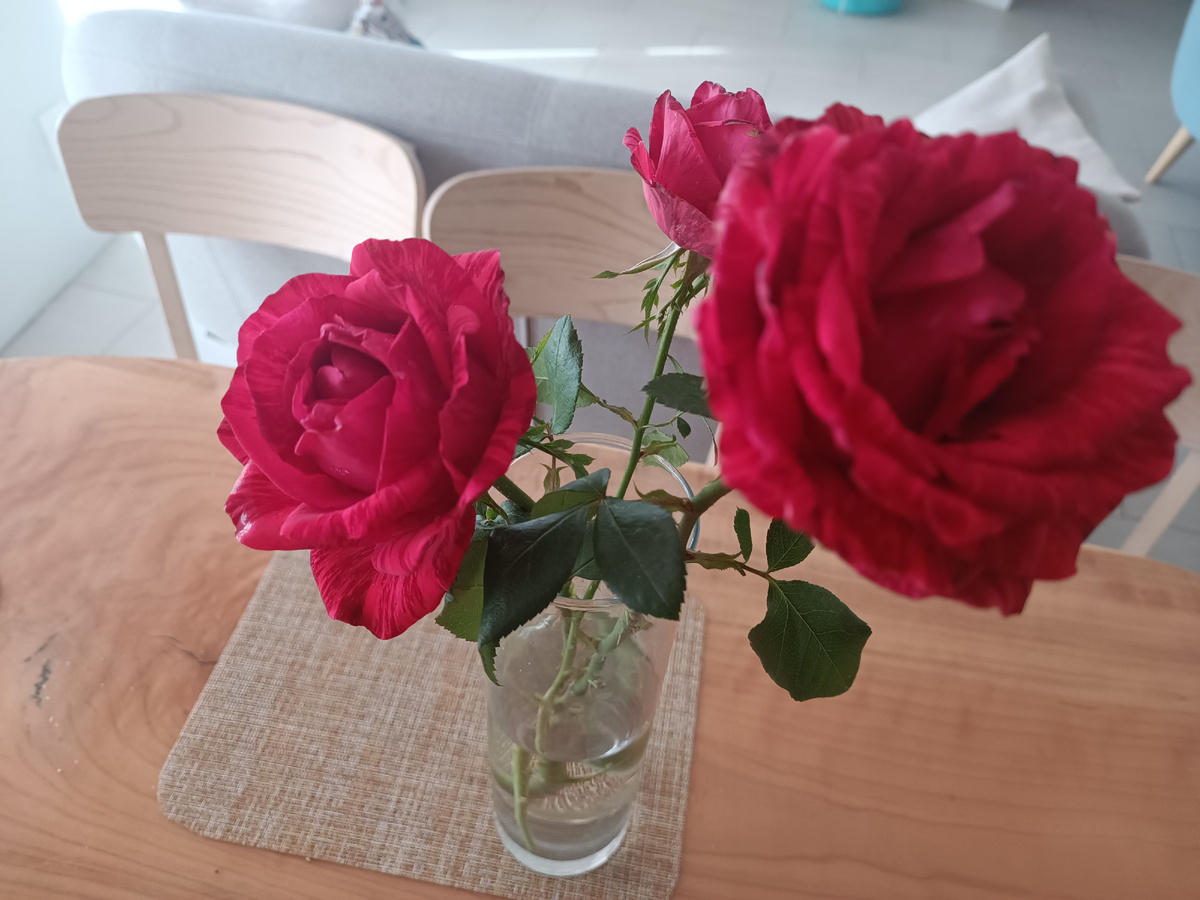 Кажется, сорт называется ред интуишин. 