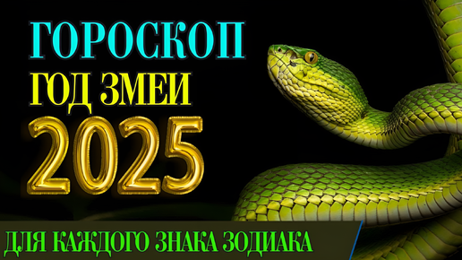 ТАРО #Аврора #гадание Овны на 2025 год