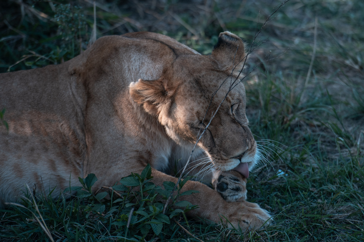 Wang Guansen/XinHua/Global Look Press