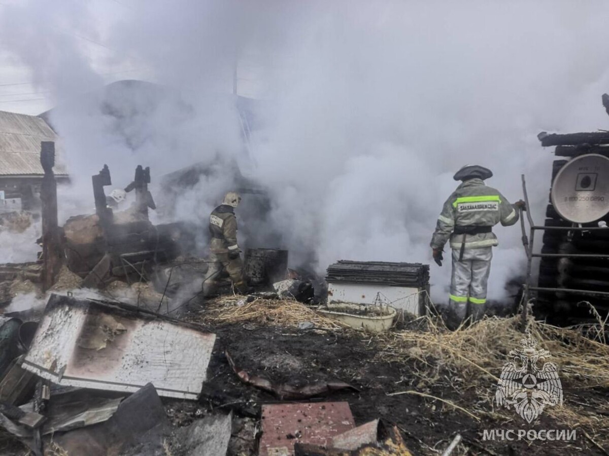    Фото: Пресс-служба ГУ МЧС России по Забайкальскому краю   📷   Фото: Пресс-служба ГУ МЧС России по Забайкальскому краю   📷   Фото: Пресс-служба ГУ МЧС России по Забайкальскому краю