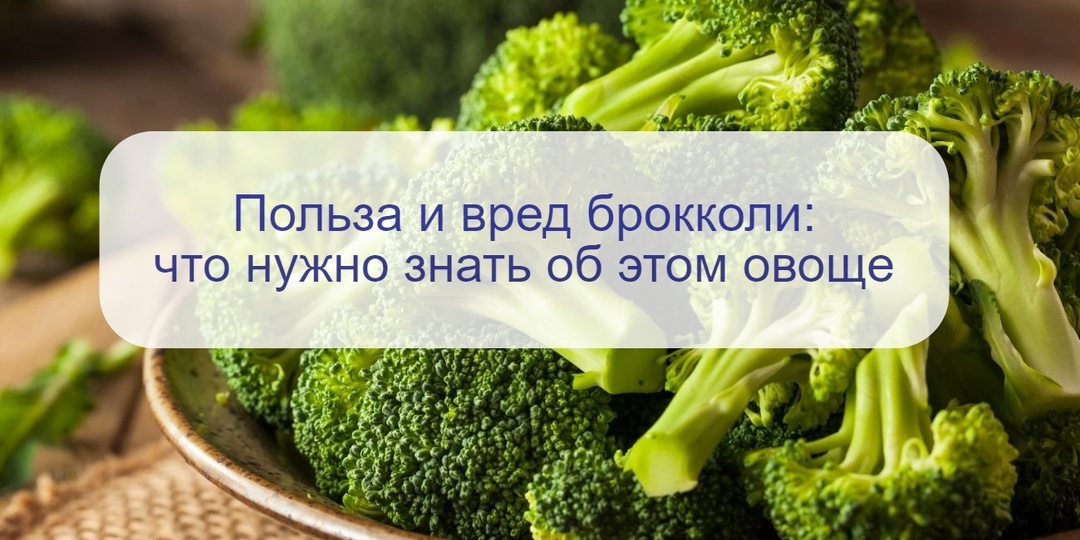 Разбор с диетологом – в чем польза и вред брокколи и можно ли на ней похудеть? Перечислим, кому ее нельзя