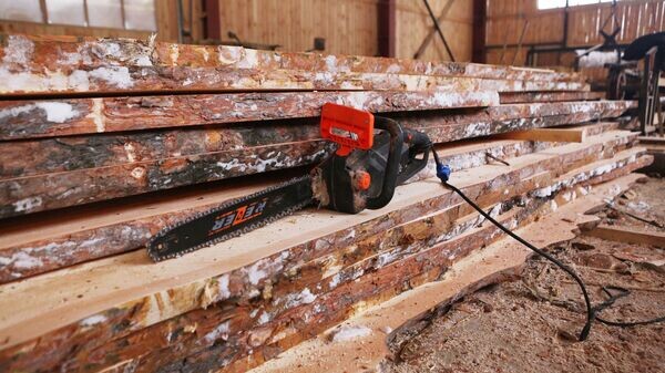    © Sputnik / Ростислав Нетисов