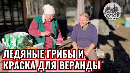 ЛЕДЯНЫЕ ГРИБЫ И КРАСКА ДЛЯ ВЕРАНДЫ