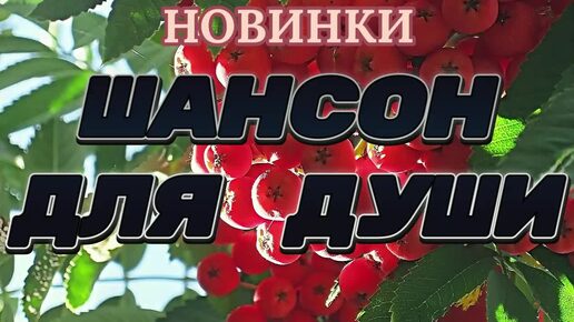 ▶️274. 💎СЛУШАТЬ ПЕСНИ 🌹ДУШЕВНЫЙ РУССКИЙ ШАНСОН 2024 | ШАНСОН ДЛЯ ДУШИ 2024