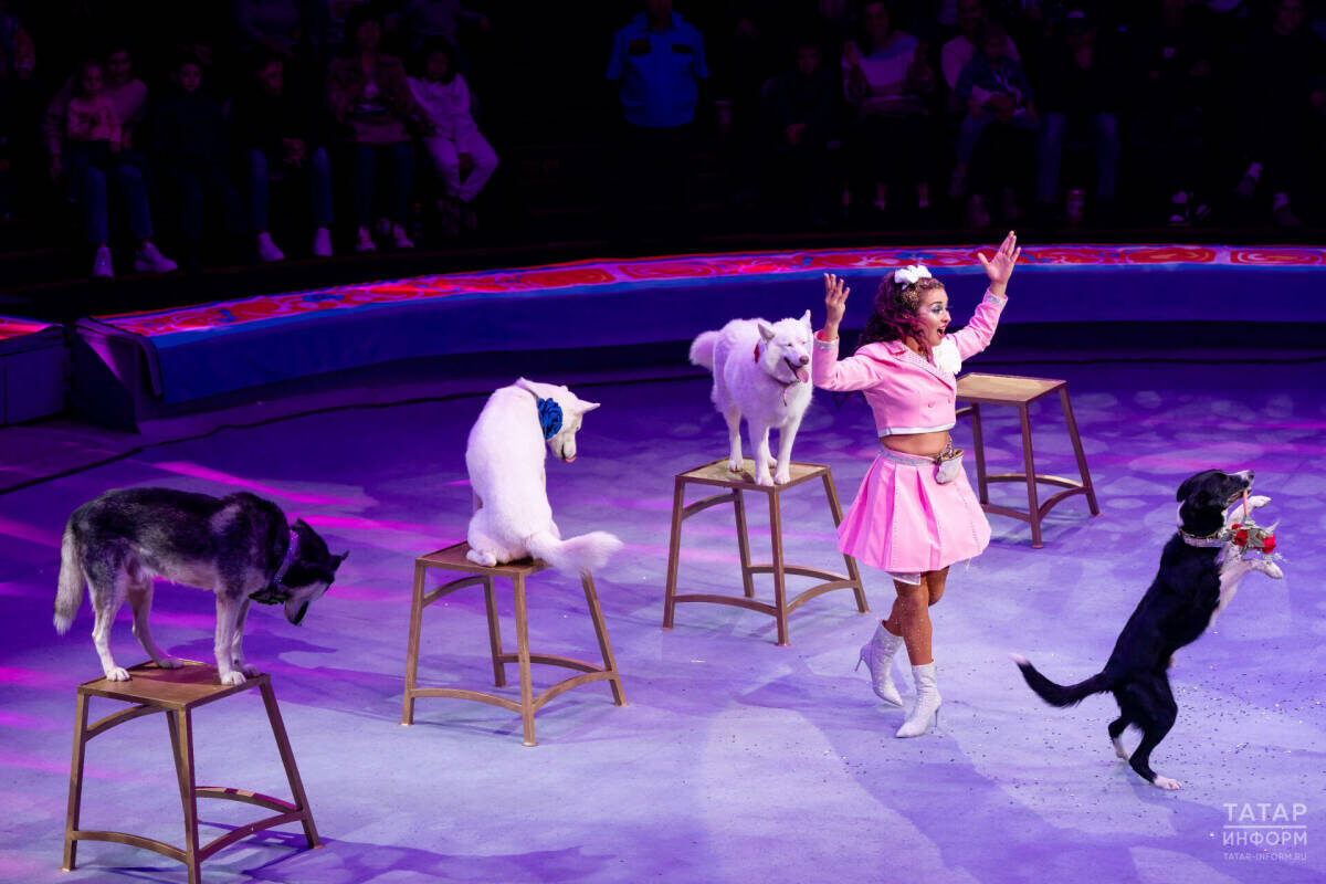 ​Евгения Верлатая