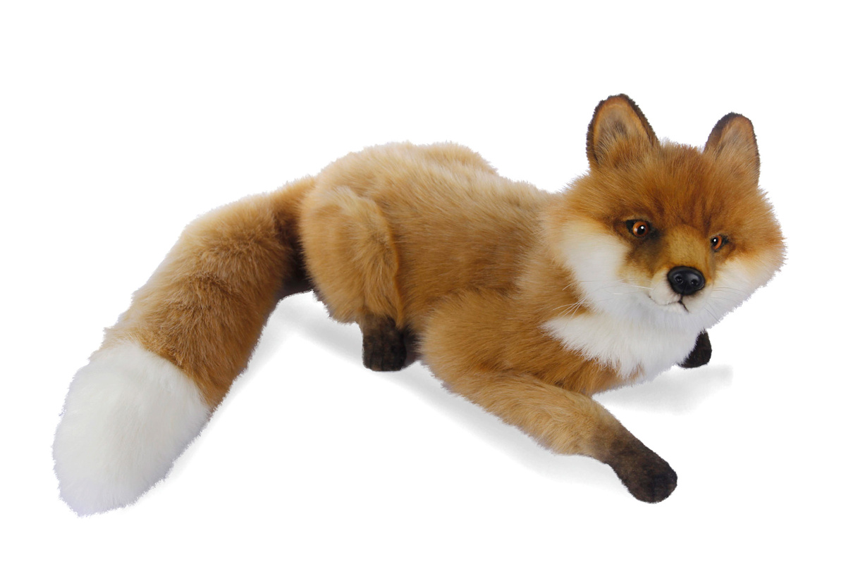 Фото взято из интернета для иллюстрации.